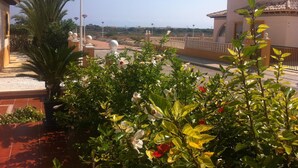 A balcony with a view of the sea, surrounded by greenery and a palm tree. - Villa with pool 7 minutes from the beach walking. WIFI + Air Conditioning (La Marina del Pinet)