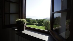 Una ventana con vistas a un paisaje verde y un cielo despejado.