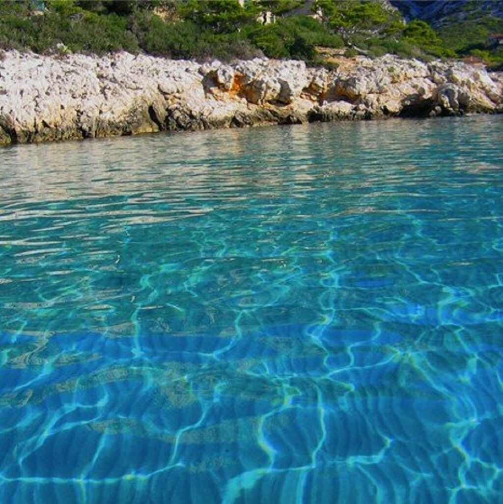 Clear blue water with rocky coastline and greenery.