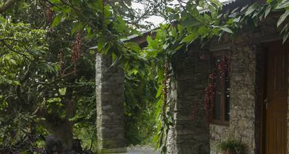 Wildlife, Nature & Peace off the beaten track - Your Private Wilderness