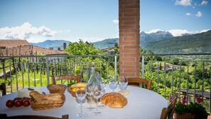 Outdoor dining - Tuscany farm with 14x5m private pool, peaceful spot near restaurant, sleeps 12 (Castiglione Di Garfagnana)
