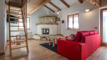 Smart TV, fireplace, books