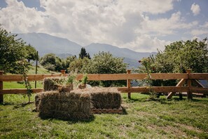 Property grounds - Hay Farm Chalet with Private Sauna and Breathtaking Views of the Dolomites (sant orsola terme)