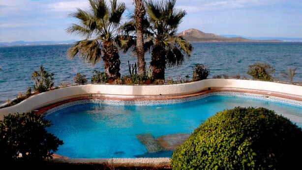 Una piscina con un borde decorativo, rodeada de palmeras y vista al mar.