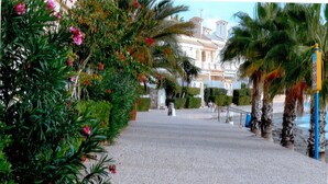 Un sendero pavimentado flanqueado por palmeras y plantas en flor, que conduce a un edificio de estilo clásico.