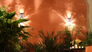 Un jardín interior acogedor con una mesa y sillas, rodeado de plantas en macetas e iluminación cálida.