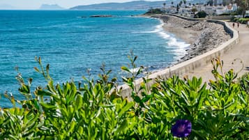 En la playa, camastros y toallas de playa 