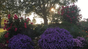 DĂ©tail de lâintĂ©rieur