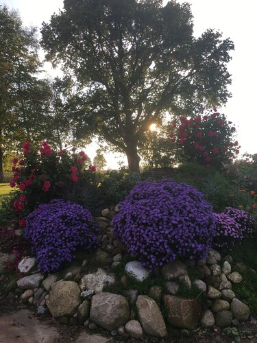 Ferienhaus Flower Garden