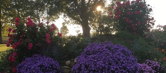 Ferienhaus Flower Garden
