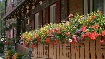 DĂ©tail de lâextĂ©rieur