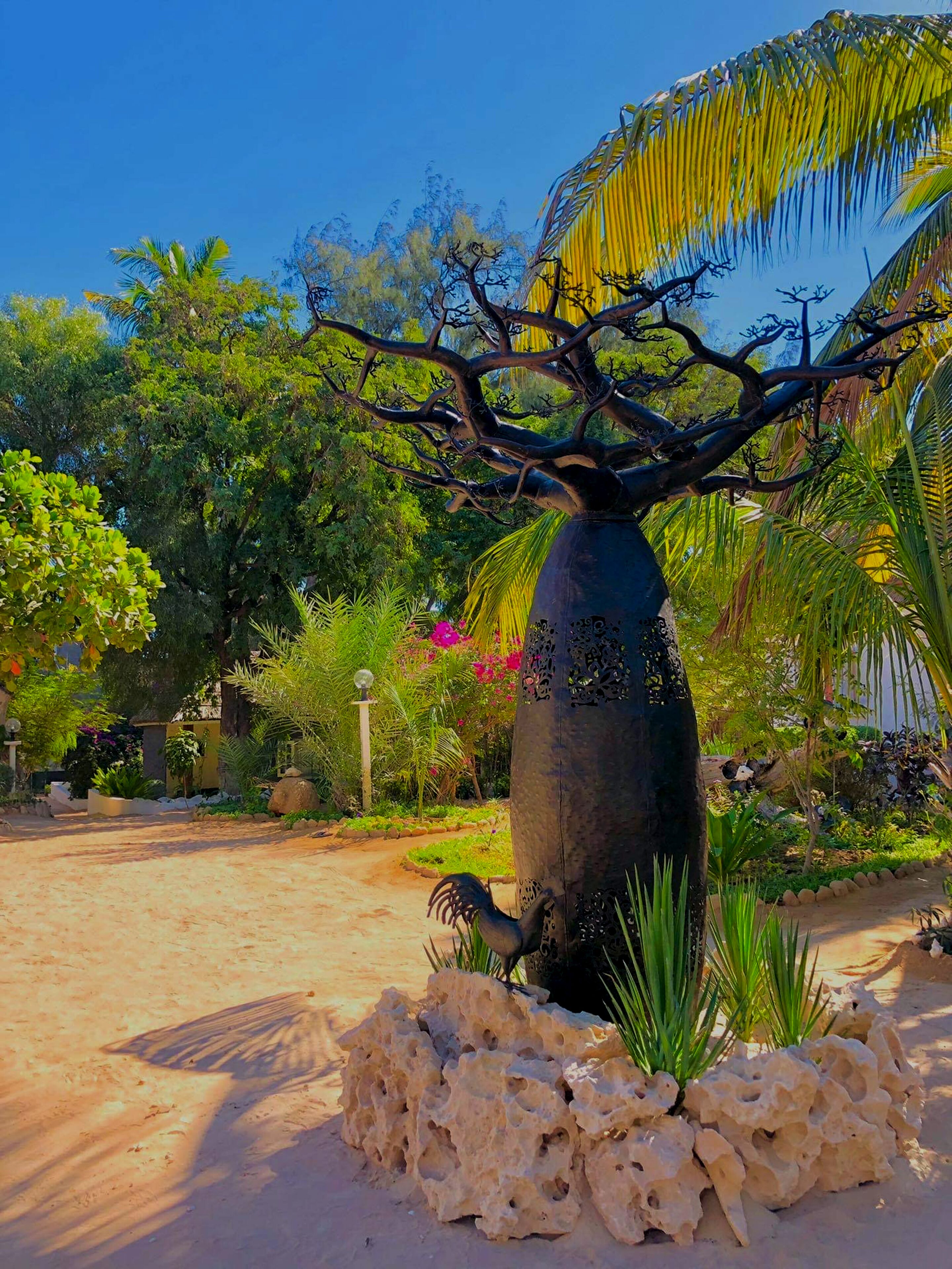 Un árbol grande y de forma peculiar, con un tronco que recuerda a una botella, rodeado de diversas plantas tropicales y un sendero de arena.