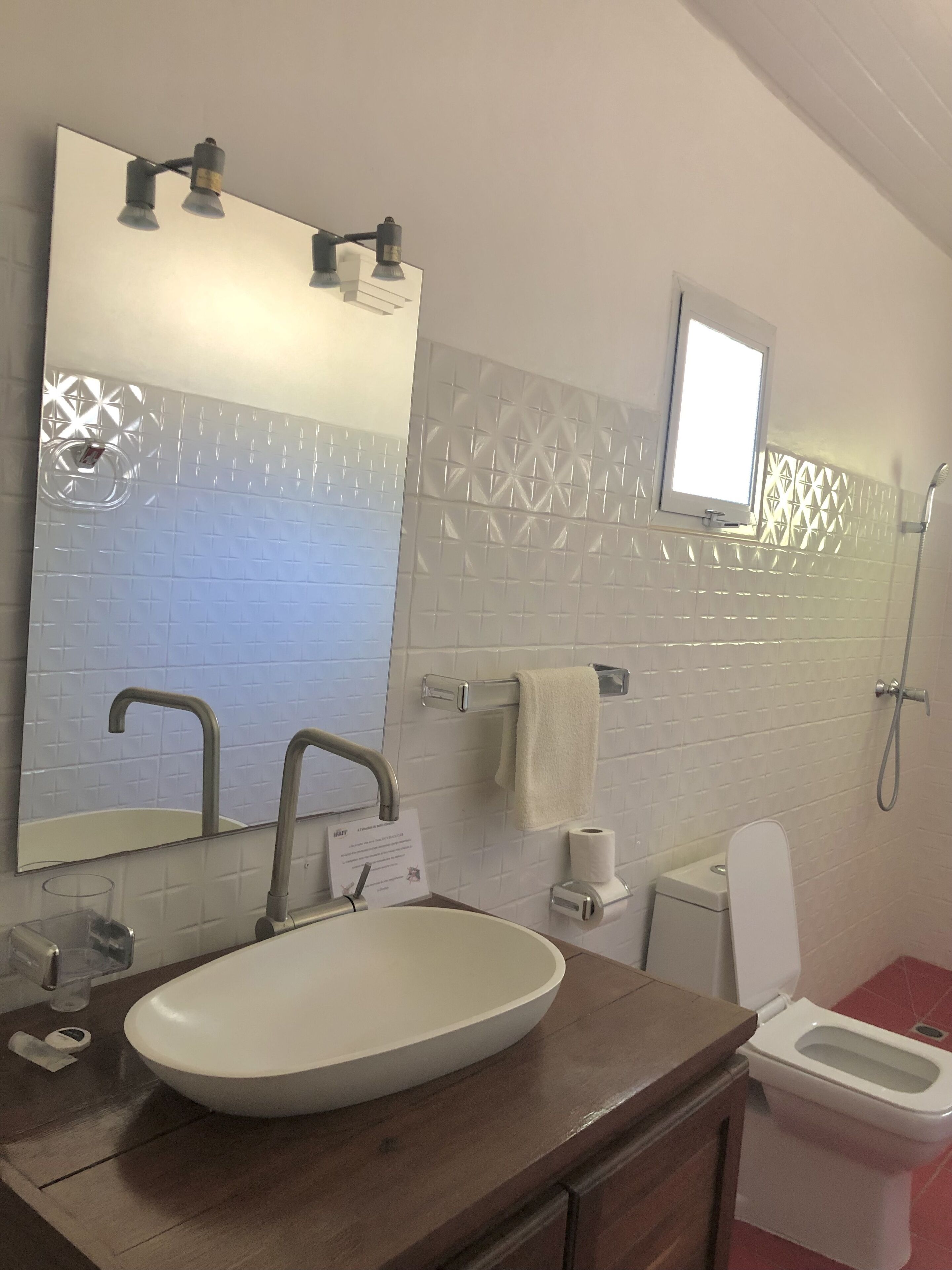 Un bany amb un mirall gran, un lavabo, un vàter i una dutxa.