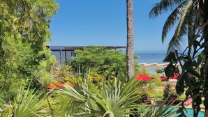 A tropical garden with palm trees, a pool, and a view of the ocean. - Ifaty Beach Club (Ifaty)