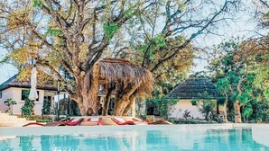 A swimming pool with lounge chairs, a thatched-roof structure, and surrounding trees. - Ifaty Beach Club (Ifaty)