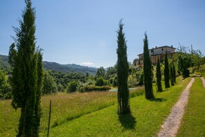 Property grounds - Villa in Tuscany with salt water private pool, complimentary wine, stunning view (Comunale)