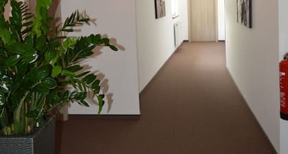 Pension "zur Traube"