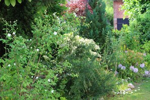 Overnatningsstedets område