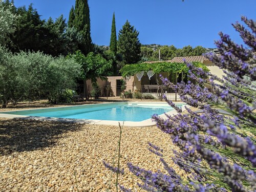 Provence Luberon secure children's pool, not overlooked large pine forest