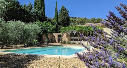 Provence Luberon secure children's pool, not overlooked large pine forest