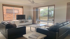 TV