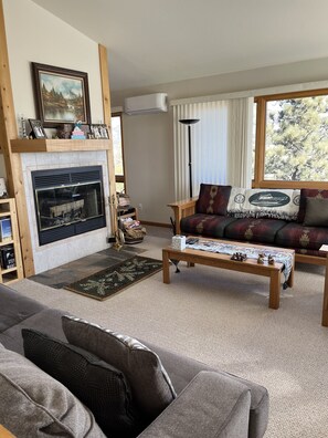 智能電視、壁爐、DVD 播放機、書籍