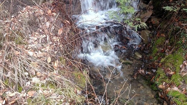 Una cascada en un área boscosa con abundante follaje y terreno rocoso.