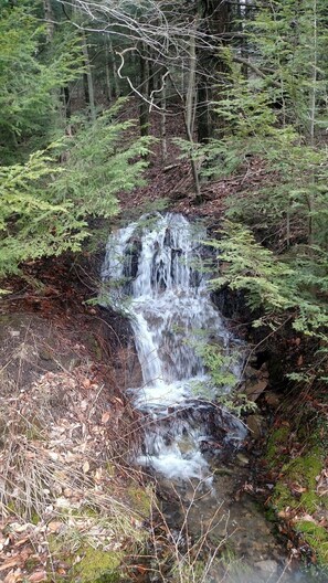 Una cascada en un área boscosa con abundante follaje y terreno rocoso.