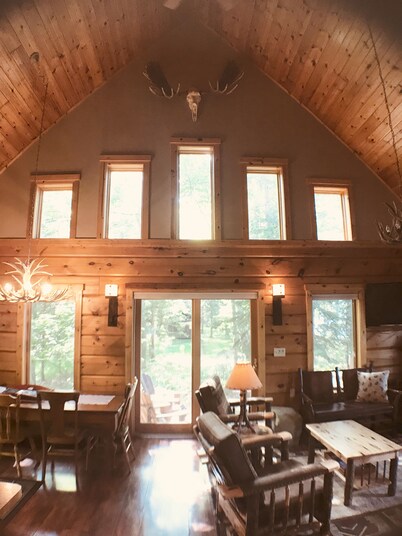 SUMMER fun in a cozy log lake home on the Whitefish Chain under the tall pines