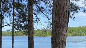 A dock extending into a calm lake surrounded by trees. - SUMMER fun in a cozy log lake home on the Whitefish Chain under the tall pines (Crosslake)