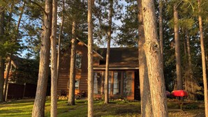 A cabin surrounded by tall trees, with a clear view of the surrounding forest. - SUMMER fun in a cozy log lake home on the Whitefish Chain under the tall pines (Crosslake)