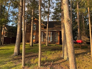 Une cabane entourĂ©e de grands arbres, offrant une vue dĂ©gagĂ©e sur la forĂȘt environnante.