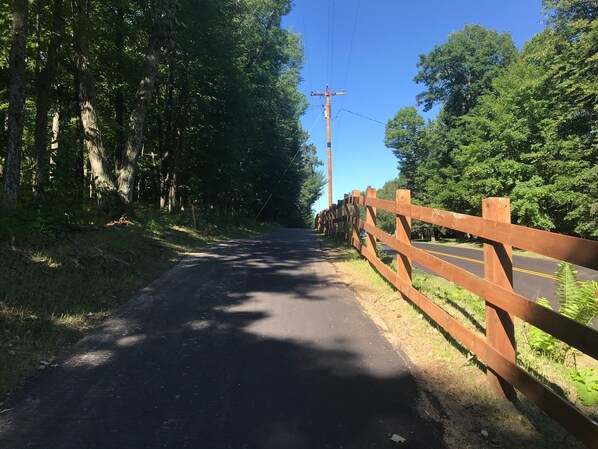 Una carretera pavimentada bordeada por una cerca de madera y árboles densos.