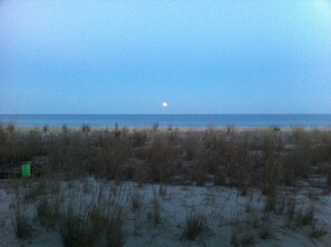Ein Strand mit spärlicher Vegetation und einem sichtbaren Mond am Himmel.