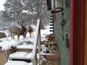 Two deer stand on the stone wall, adjacent to a charming building with a green exterior and a red door.