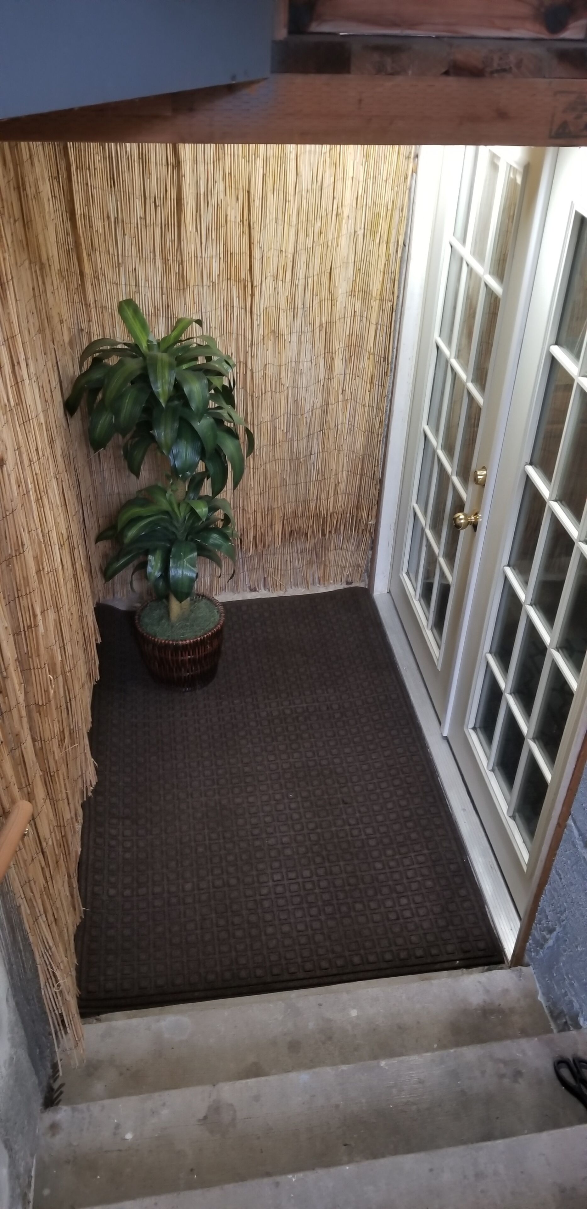 A staircase leading to a door with a textured mat.