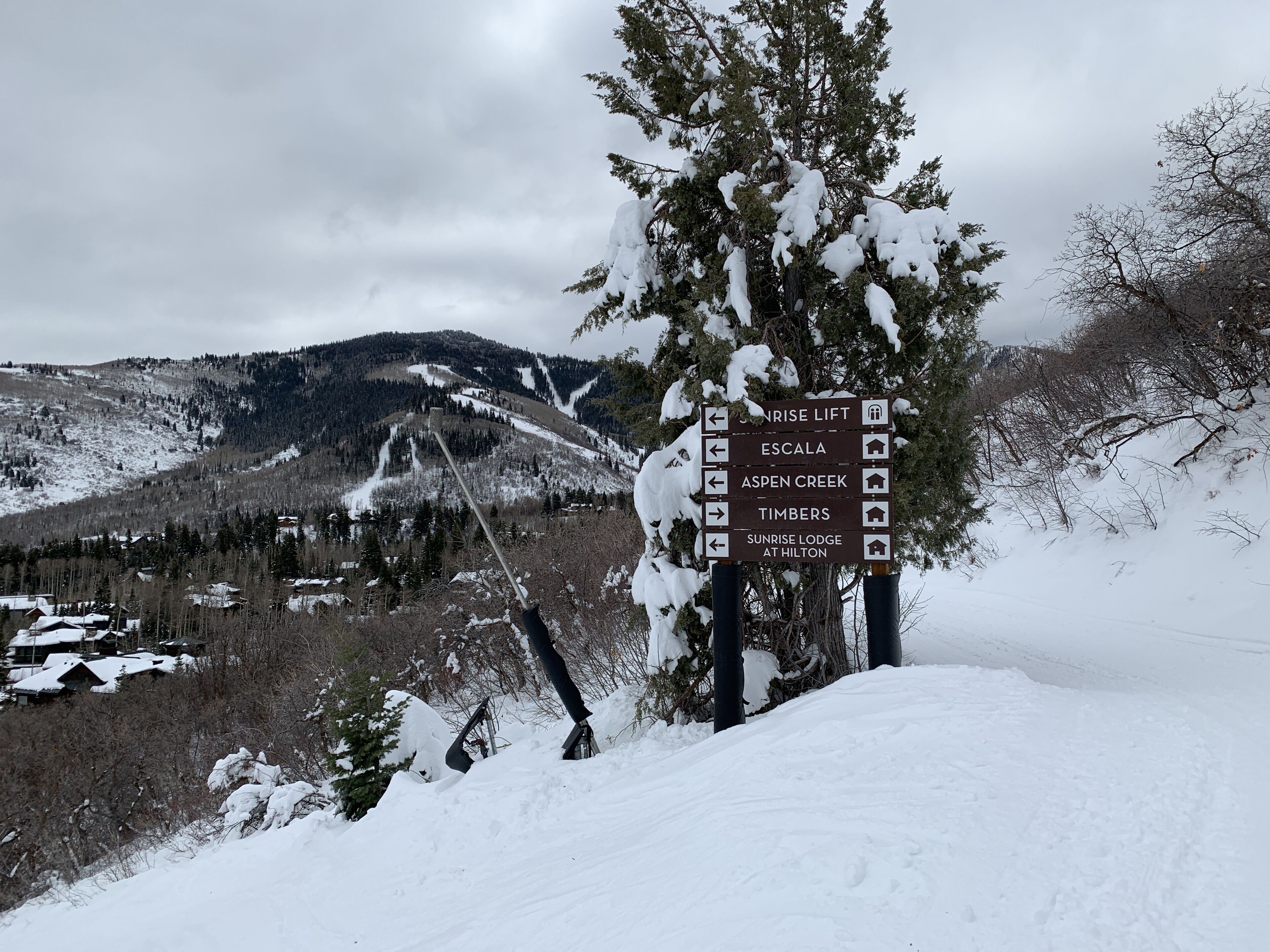 滑雪运动