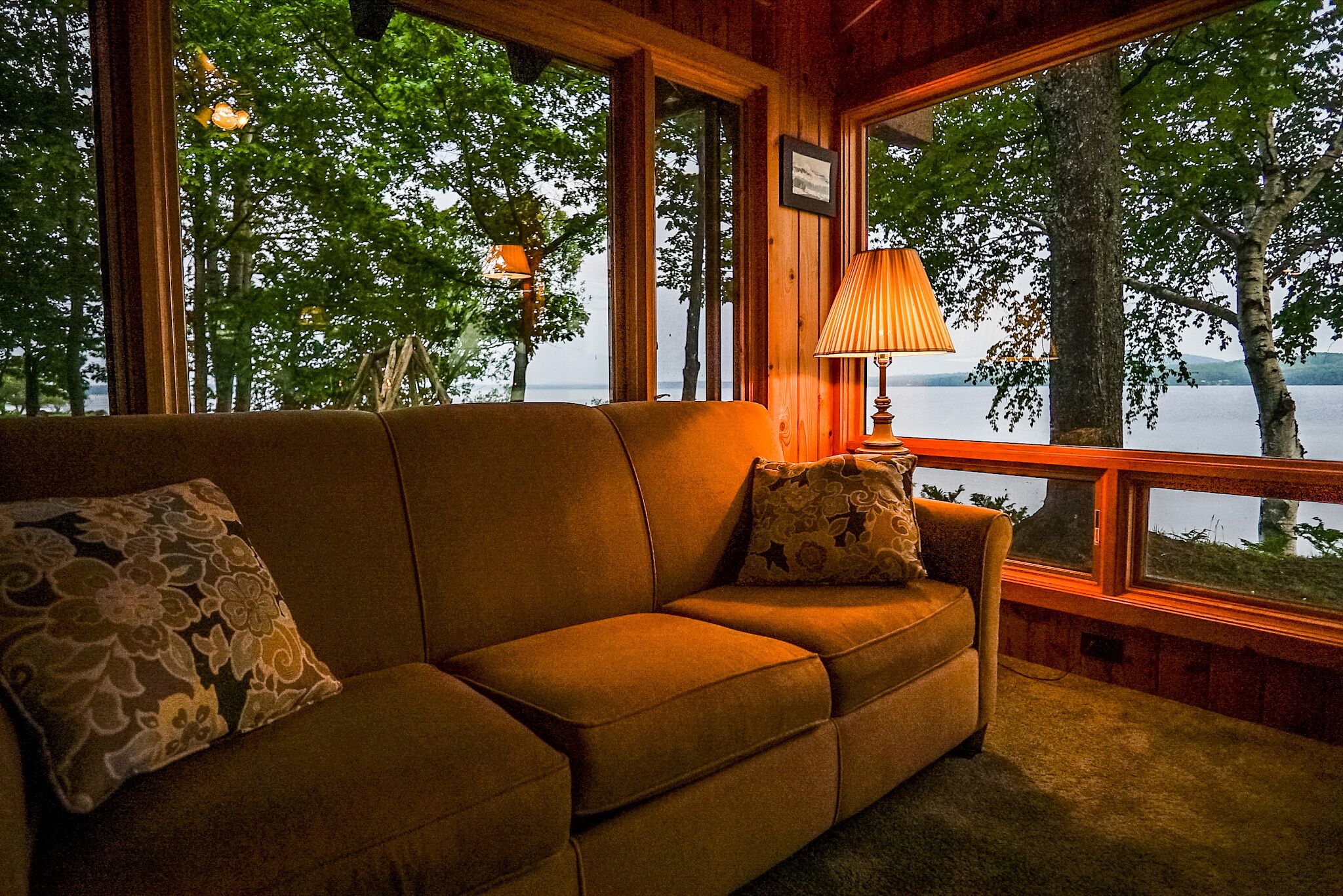 Smart TV, chimenea, reproductor de DVD y libros 