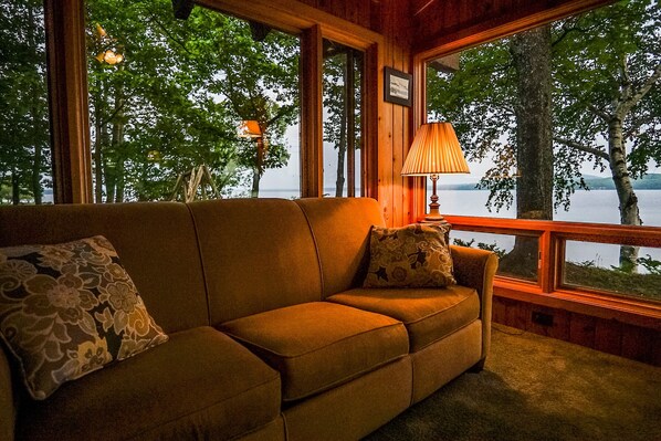 Smart TV, fireplace, DVD player, books