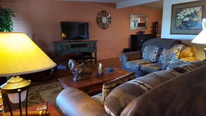 Télévision, cheminée, chaîne hi-fi