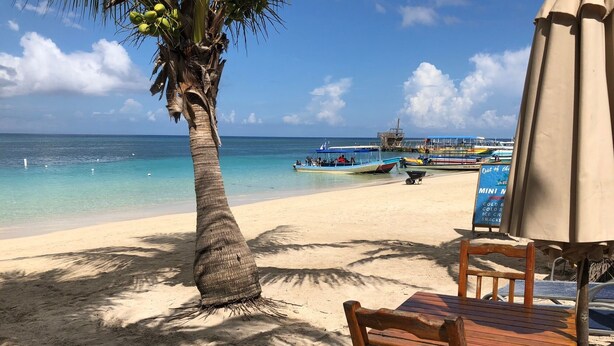 Une plage avec un palmier, une table en bois et un panneau indicateur.