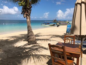 A beach with a palm tree, a wooden table, and a signboard.