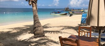 Maison neuve en bord de mer avec vue imprenable et récif de classe mondiale 