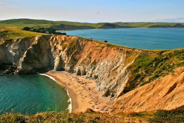 A national treasure, Point Reyes Seashore. Less than 30 miles from your door.