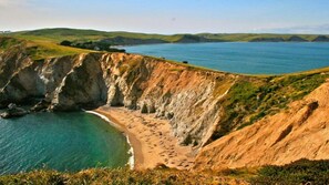 Beach - Mill Valley Hot Spot in the Center of Town (Mill Valley)