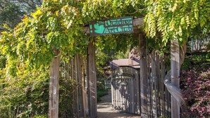 A wooden archway with a sign reading "The Old Mill".