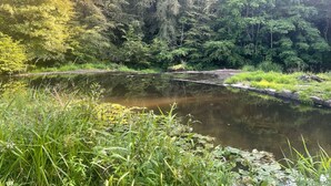A serene pond surrounded by dense forest. - Le Gite D'Ile (1 Bedroom, Sleeps 2) (Souleuvre En Bocage)