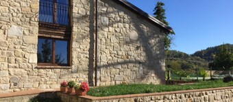Olimpia - Spacious stone villa with private terrace overlooking the pool