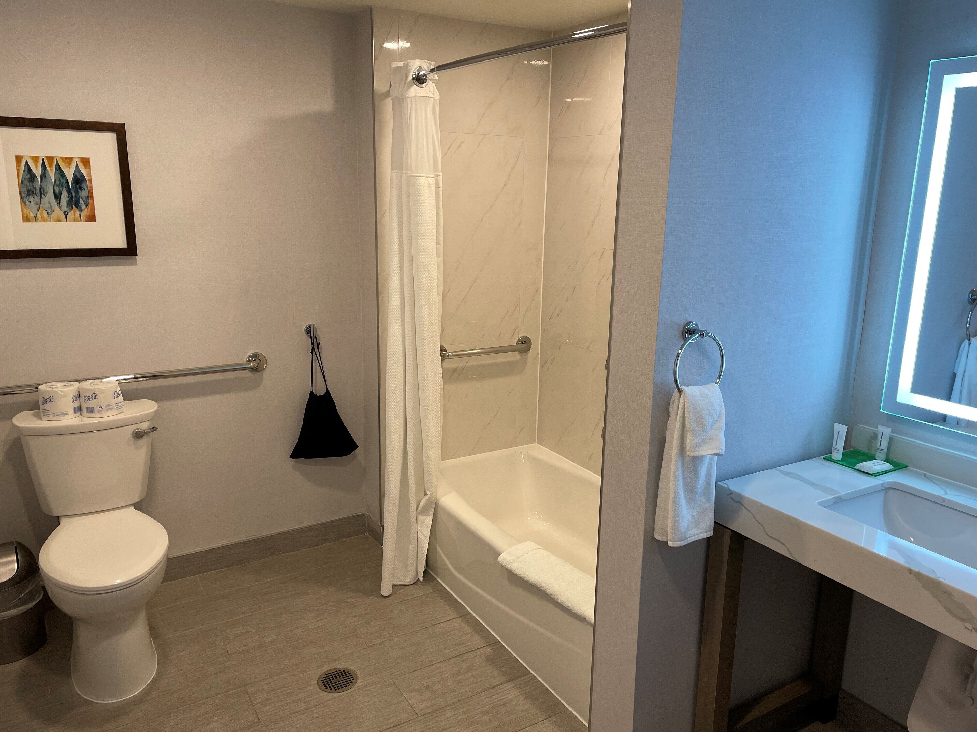 room, 1 king bed, accessible, bathtub | bathroom | designer toiletries, hair dryer, bathrobes, towels