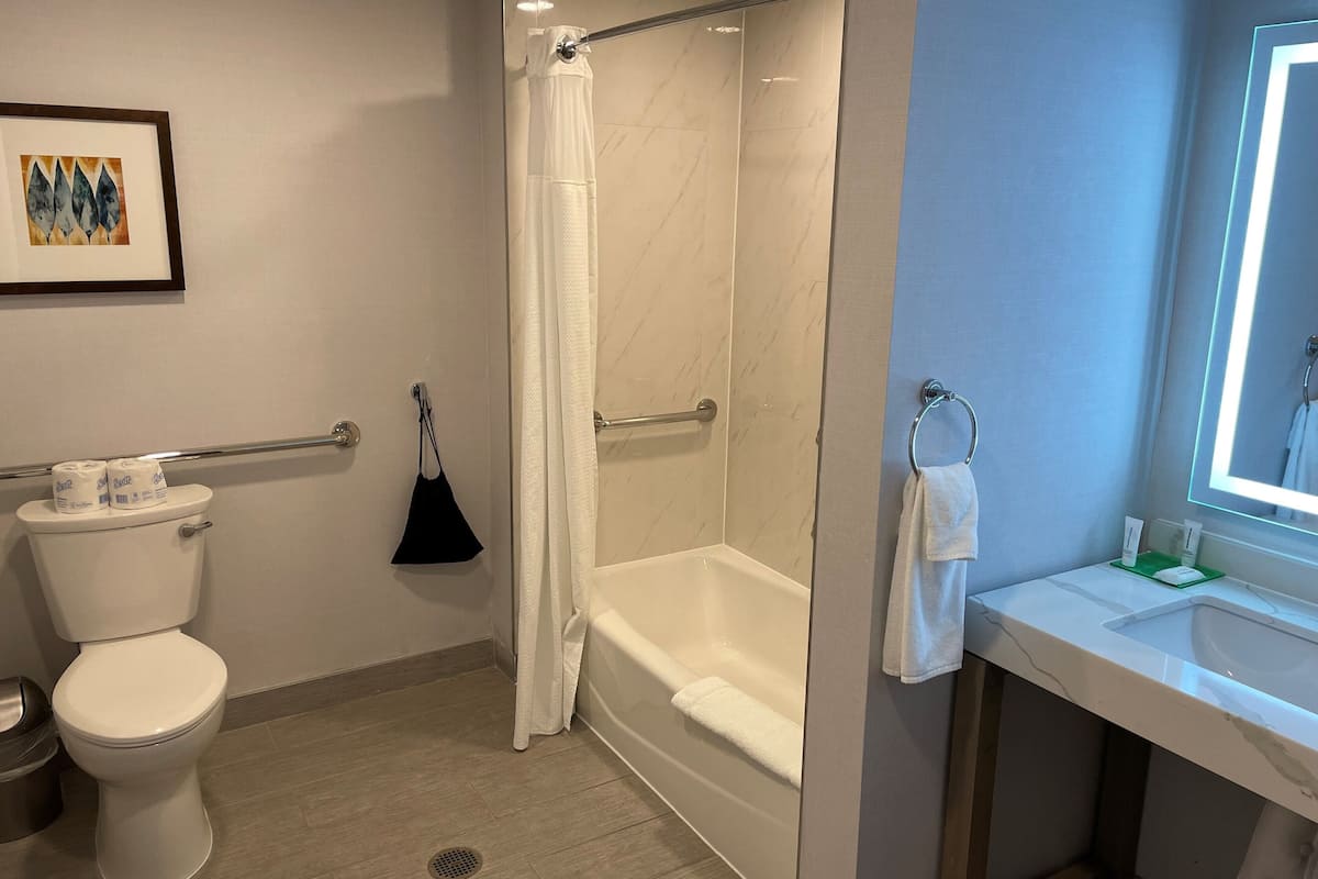 room, 1 king bed, accessible, bathtub | bathroom | designer toiletries, hair dryer, bathrobes, towels